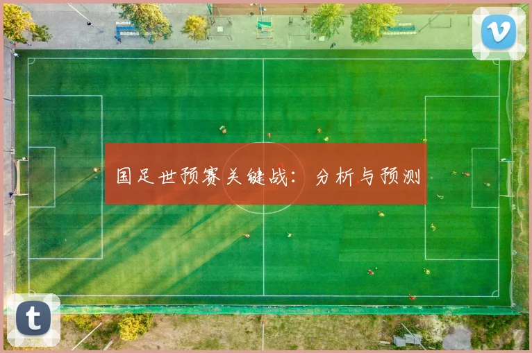 国足世预赛关键战:分析与预测