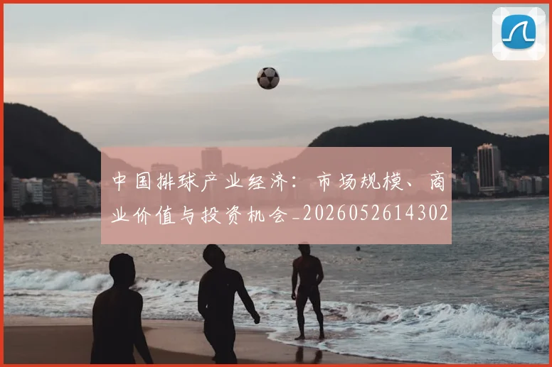 中国排球产业经济:市场规模、商业价值与投资机会_20260526143026