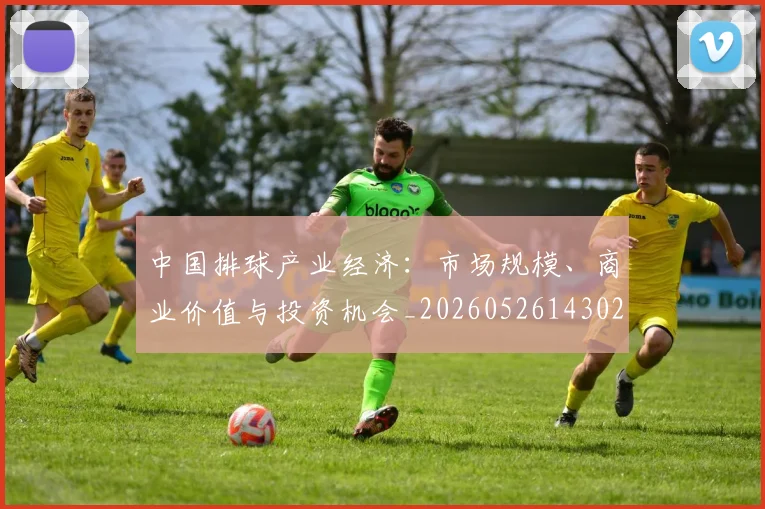 中国排球产业经济：市场规模、商业价值与投资机会_20260526143026
