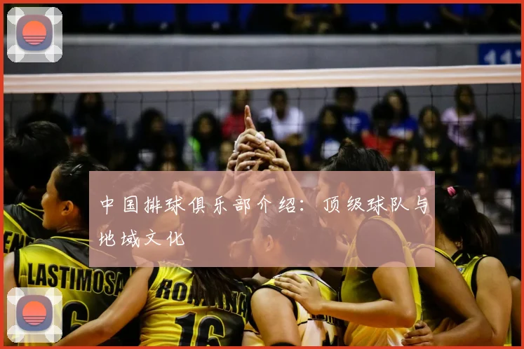 中国排球俱乐部介绍：顶级球队与地域文化