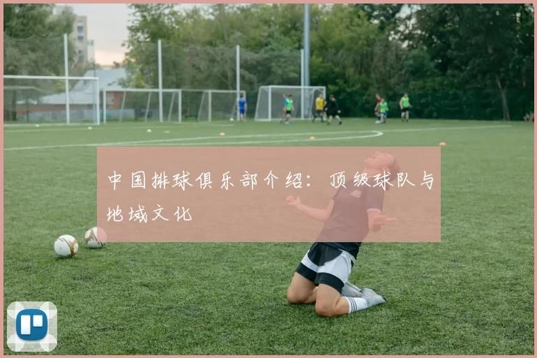 中国排球俱乐部介绍:顶级球队与地域文化