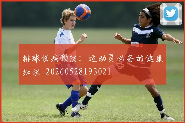 排球伤病预防：运动员必备的健康知识_20260528193021